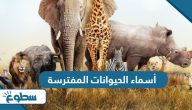 أسماء الحيوانات المفترسة أسماء الحيوانات المفترسة