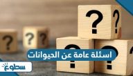 اسئلة عامة عن الحيوانات واجابتها 2025 اسئلة عامة عن الحيوانات واجابتها 2025