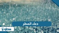 دعاء المطر، الدعاء الذي يقال عند نزول المطر دعاء المطر، الدعاء الذي يقال عند نزول المطر
