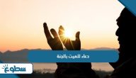 دعاء للميت بالجنة يغفر ذنوبه ويضيء قبره