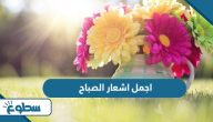 اجمل اشعار الصباح