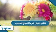 كلام جميل في الصباح للحبيب كلام جميل في الصباح للحبيب
