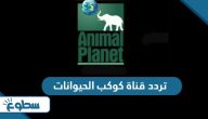 تردد قناة كوكب الحيوانات الجديد 2025 على نايل سات وعربسات