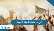 كم عدد خلفاء الدولة الاموية كم عدد خلفاء الدولة الاموية