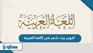 اقوى بيت شعر في اللغة العربية 