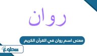 معنى اسم روان في القرآن الكريم معنى اسم روان في القرآن الكريم