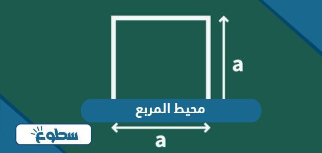 قانون محيط المربع - موقع سطوع