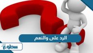 الرد على والنعم فيك ومن أصلك الرد على والنعم فيك ومن أصلك