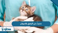 حديث عن الرفق بالحيوان حديث عن الرفق بالحيوان