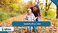 عبارات عن الأم المتوفية