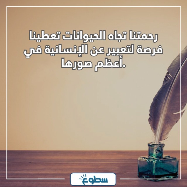 عبارات عن الرفق بالحيوان