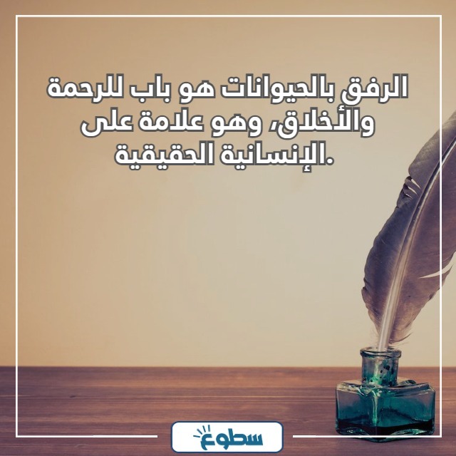عبارات عن الرفق بالحيوان
