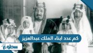كم عدد ابناء الملك عبدالعزيز