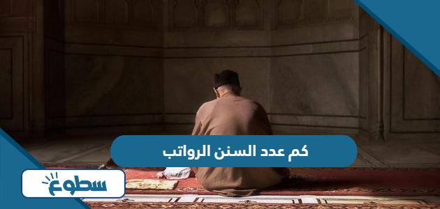 كم عدد السنن الرواتب