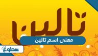معنى اسم تالين