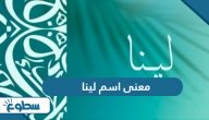 معنى اسم لينا معنى اسم لينا