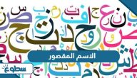تعريف الاسم المقصور وإعرابه