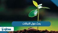 بحث حول النباتات بحث حول النباتات