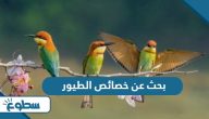 بحث عن خصائص الطيور بحث عن خصائص الطيور