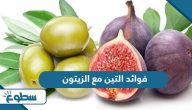 فوائد التين مع الزيتون