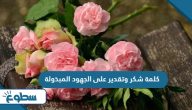 كلمة شكر وتقدير على الجهود المبذولة كلمة شكر وتقدير على الجهود المبذولة