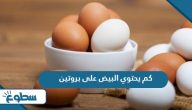 كم يحتوي البيض على بروتين كم يحتوي البيض على بروتين