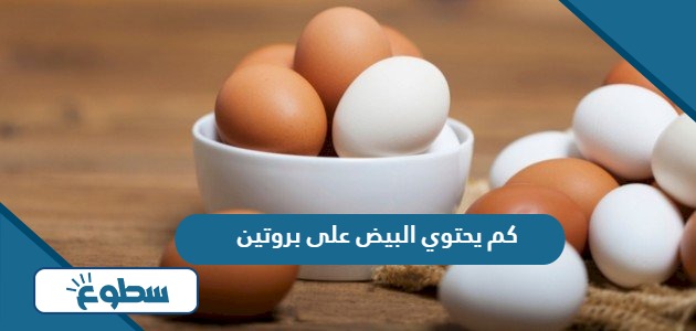 كم يحتوي البيض على بروتين