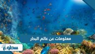 معلومات عن عالم البحار معلومات عن عالم البحار