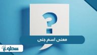 ما معنى اسم جنى