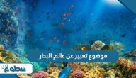 موضوع تعبير عن عالم البحار موضوع تعبير عن عالم البحار