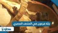 جثة فرعون في المتحف المصري جثة فرعون في المتحف المصري