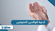 أدعية للوالدين المتوفين