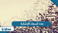 كم عدد أسماء الإشارة