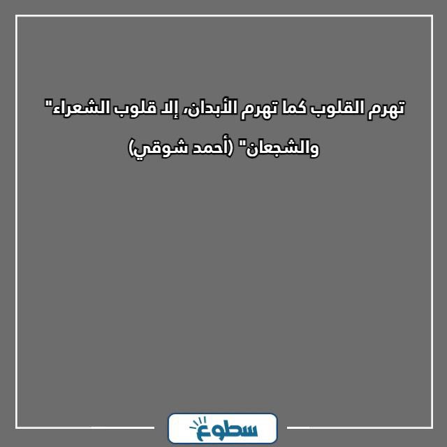 أقوال العظماء حكم عن الحياة