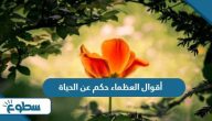 أقوال العظماء حكم عن الحياة