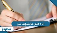 الرد على ماتشوف شر الرد على ماتشوف شر