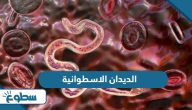 بحث عن الديدان الاسطوانية