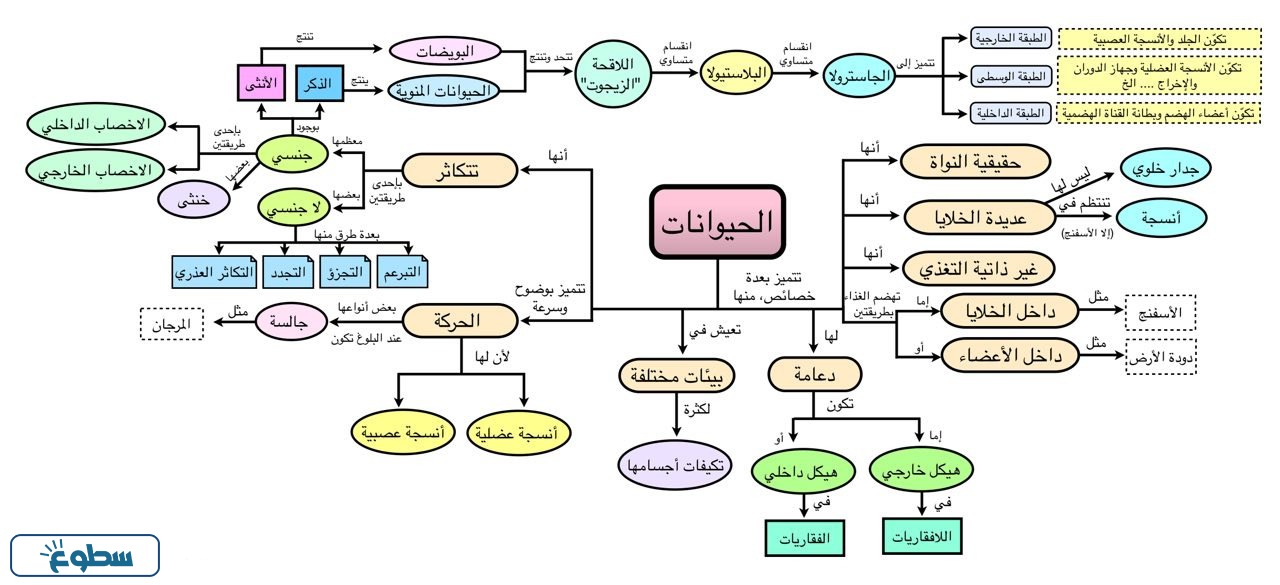خريطة مفاهيم عن خصائص الحيوانات