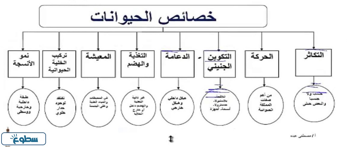 خريطة مفاهيم عن خصائص الحيوانات