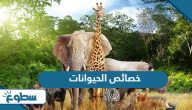خصائص الحيوانات خصائص الحيوانات