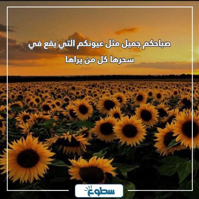 عبارات صباح الخير مع دعاء للاحباب