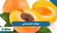 ما هي فوائد المشمش