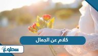 كلام عن الجمال