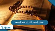 ماهي السوره التي ذكر فيها البعوض ماهي السوره التي ذكر فيها البعوض