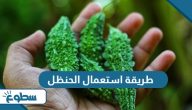 طريقة استعمال الحنظل