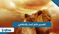 تفسير حلم اسد يلاحقني