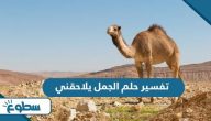 تفسير حلم الجمل يلاحقني
