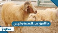 ما الفرق بين الاضحية والهدي ما الفرق بين الاضحية والهدي
