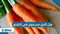 هل الجزر مسموح في الكيتو هل الجزر مسموح في الكيتو
