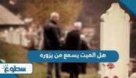 هل الميت يسمع من يزوره